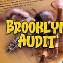 BrooklynAudit