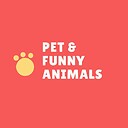 Animalsplus