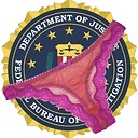 FBIPantyRaid