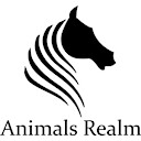 animalsrealm