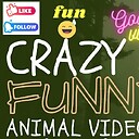 FunniestAnimalVideoz