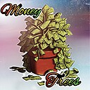 moneytreesny