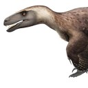 RomanUtahraptor