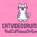 CatVideosRumble