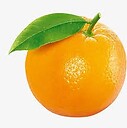 OrangeMemes