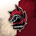 winmidgaming