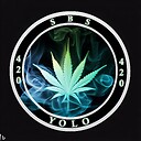 sbs420yolo