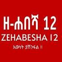 Zehabesha6