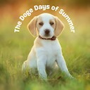 TheDogeDaysofSummer