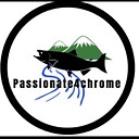 passionate4chrome