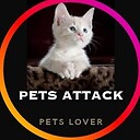 Petsattack