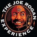 thepowerfuljoeroganexperience