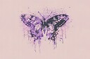 purplebutterflywithabrokenwing