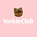 TheYorkieClub