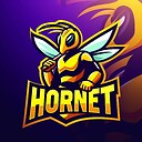 Hornet_TO