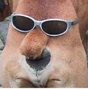 ShavedDogsAss