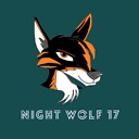 nightwolf17driverline