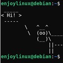 enjoylinux