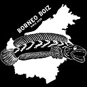 BorneobBoiz