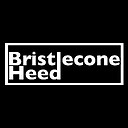 BristleconeHeed