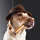 SmokingDog