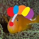 PlanetClownfishBrain