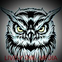 LivelyOwlMedia