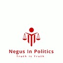 thenegusinpolitics