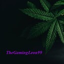 TheGamingLeon99