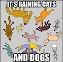 itsrainingcatsndogs