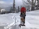 Snowboard_medic