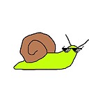 snailstuff