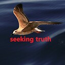 SeekingTruthNo1