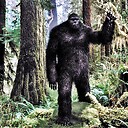 BlackPilledBigfoot