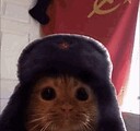 russian_cat