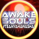 AwakeSouls1