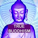 BuddhistStudy