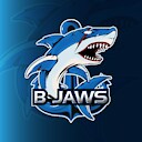 BJAWS