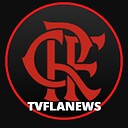 TVFlaNews
