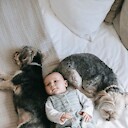 BabyAndPets