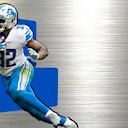 DetroitLionsMicroMike