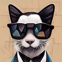 coolcodingcat