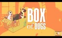 BoxOfDogs