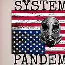 sytmemicpandemic