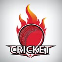 Cricketlovers36