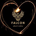 Goldfalcon46