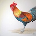 AncientRooster