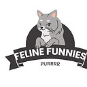 FelineFun