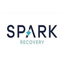 SparkRecovery