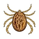 UparasiteU